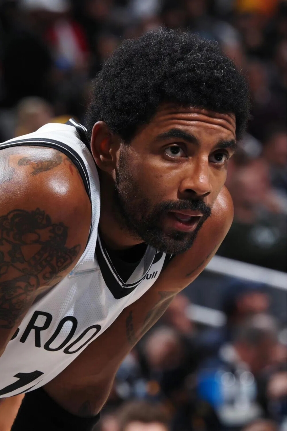 欧冠资格的 欧冠资格的